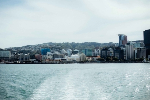 Wellington: Commented Harbor Explorer tour