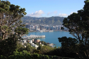 Wellington: Guided City Tour with Cable Car Ticket