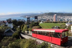 Wellington: Guided City Tour with Cable Car Ticket