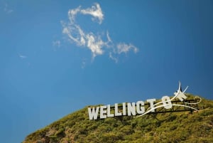 Wellington: Guided City Tour with Cable Car Ticket