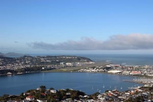 Wellington: Guided City Tour with Cable Car Ticket