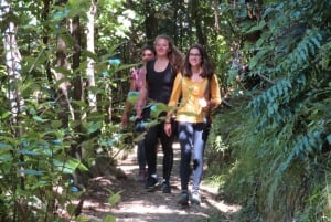 Kapiti Island Nature Reserve Day Trip