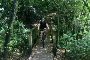 Hutt River Trail eBike Explorer