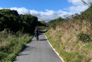 Hutt River Trail eBike Explorer