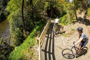 Hutt River Trail eBike Explorer