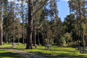 Hutt River Trail eBike Explorer