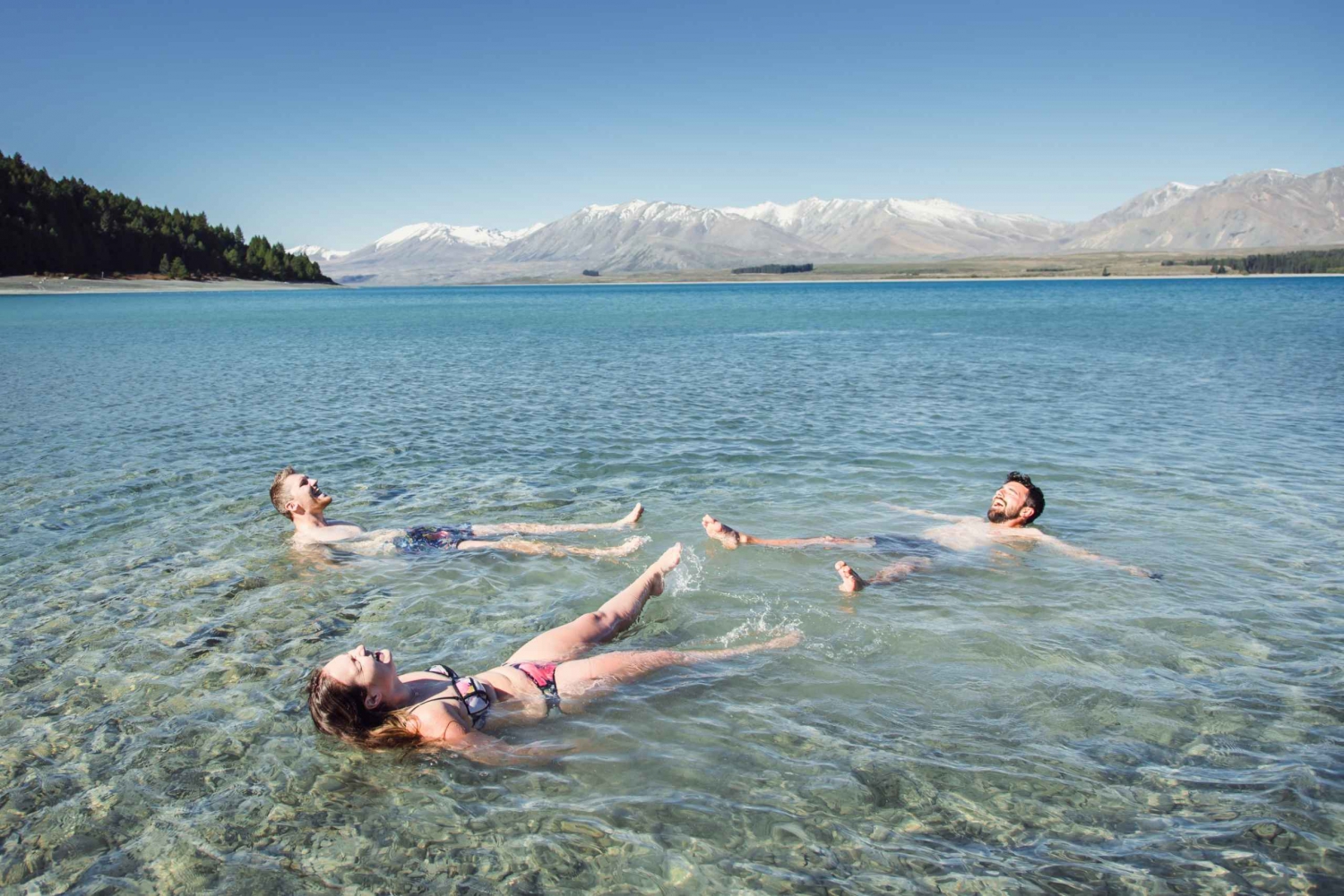 From Wellington: 11-Day South Island Tour with Accommodation