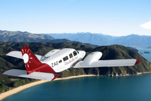 Best Scenic Tours In Wellington