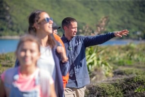 ウェリントン発：カピティ島クラシックガイド付き日帰りツアー