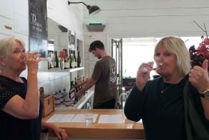 From Wellington: Martinborough Wine Tasting Tour