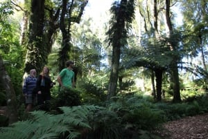 Full-Day Eco Trek, Seal Colony & Farm Tour from Wellington