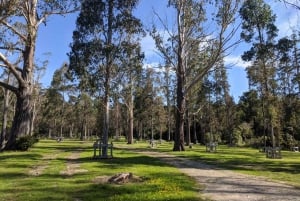 Hutt River Trail eBike Explorer