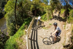 Hutt River Trail Mountain Bike Explorer