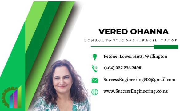 Success Engineering Business Coaching