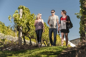 Martinborough Wine Tour with Platter Lunch from Wellington