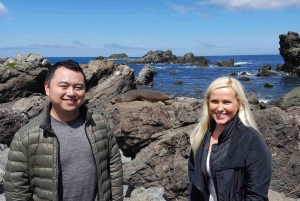 Best Scenic Tours In Wellington