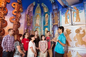 Museum of Te Papa Tongarewa Maori Highlights Tour