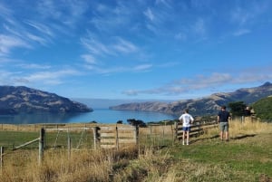 New Zealand: Guided 17-Day South Island Tour with Camping