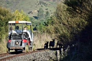 New Zealand: Guided 26-Day North Island Tour with Camping