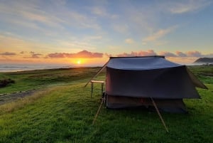 New Zealand: Guided 26-Day North Island Tour with Camping