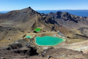 New Zealand: Guided 26-Day North Island Tour with Camping