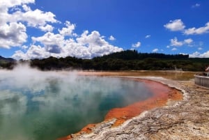 New Zealand: Guided 26-Day North Island Tour with Camping