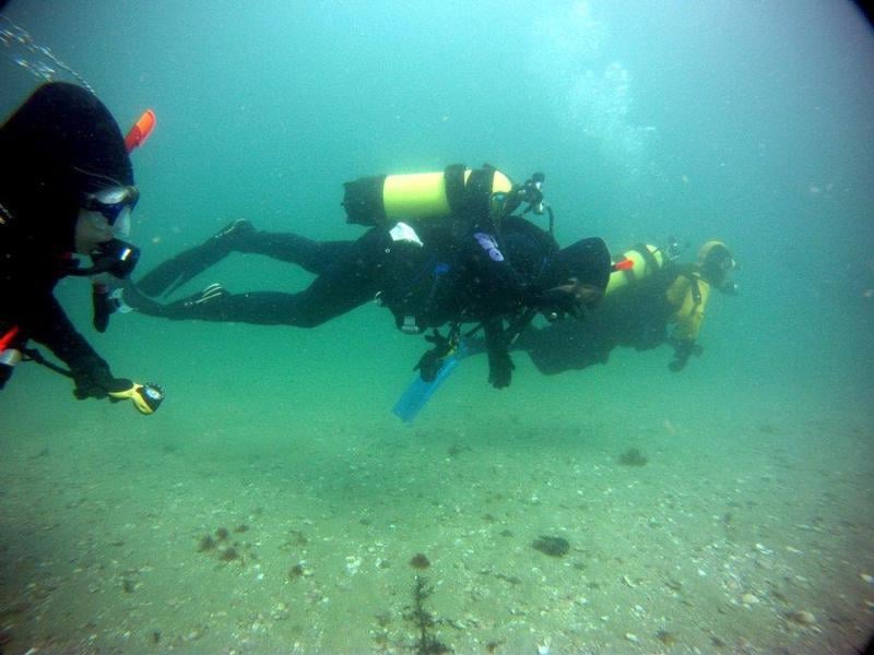 New Zealand Sea Adventures