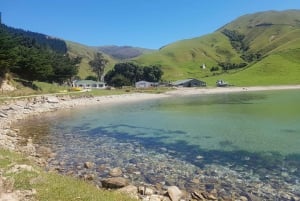 Paua Pearl Farm Tour