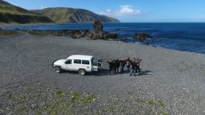 Seal Coast Safari