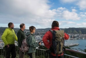 Southern Explorer Walking Tour From Wellington