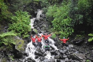 Wellington: Te Awa Kairangi Class 3 Whitewater Rafting Tour