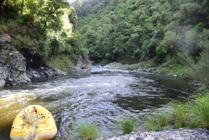 Wellington: Te Awa Kairangi Class 3 Whitewater Rafting Tour