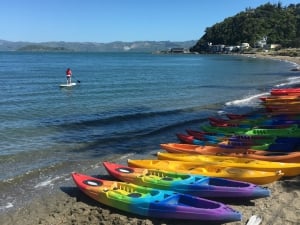 The Boatshed - Days Bay