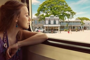 Wairarapa Village: Artisan Tour with Food, Wine & Shopping
