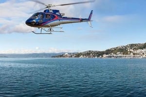Wellington: 9-Minute Scenic Flight Ride