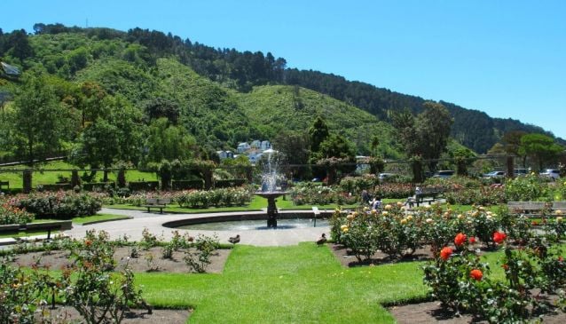 Wellington Botanic Garden