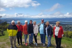 Wellington: Cave to Coast Highlights Guided Tour