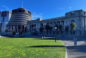 Wellington: Cave to Coast Highlights Guided Tour