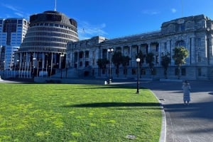 Wellington: Cave to Coast Highlights Guided Tour