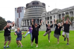 Wellington: City Highlights Guided Tour with Cable Car Ride