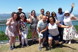 Wellington: City Highlights Guided Tour with Cable Car Ride