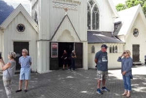 Wellington: City Highlights Guided Tour with Cable Car Ride