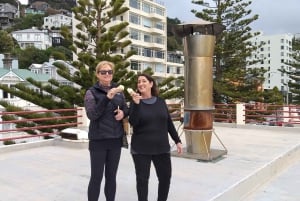 Wellington: City Highlights Guided Tour with Cable Car Ride