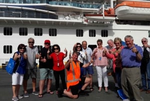 Wellington: City Highlights Guided Tour with Cable Car Ride