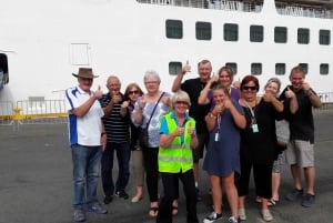 Wellington: City Highlights Guided Tour with Cable Car Ride