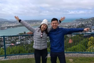 Wellington: City Highlights Guided Tour with Cable Car Ride