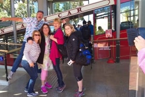 Wellington: City Highlights Guided Tour with Cable Car Ride