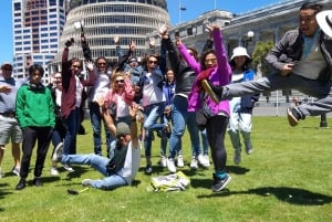 Wellington: City Highlights Guided Tour with Cable Car Ride