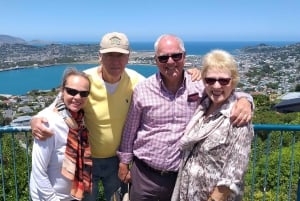 Wellington: City Highlights Guided Tour with Cable Car Ride