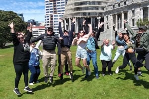 Wellington: City Highlights Guided Tour with Cable Car Ride